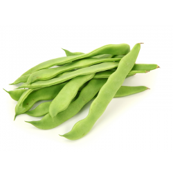 HARICOT VERT