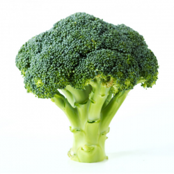 BROCOLI