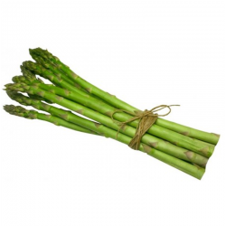 ASPERGES VERTES