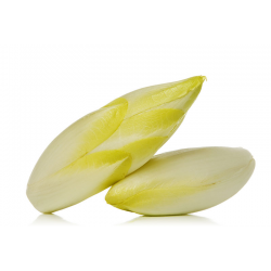 ENDIVES