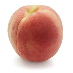 NECTARINE BLANCHE