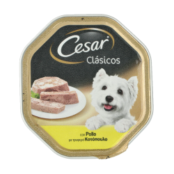 CÉSAR CLASSIC FOOD DOG CHICKEN