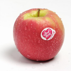 Pomme PINK LADY